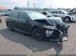 4T1B11HK1KU226556 2019 TOYOTA CAMRY