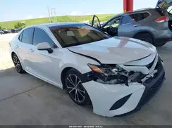 4T1B11HK1KU229893 2019 TOYOTA CAMRY