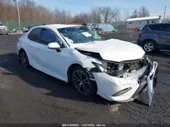 4T1B11HK1KU230381 2019 TOYOTA CAMRY