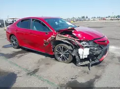 4T1B11HK1KU231482 2019 TOYOTA CAMRY