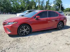 4T1B11HK1KU290533 2019 TOYOTA CAMRY