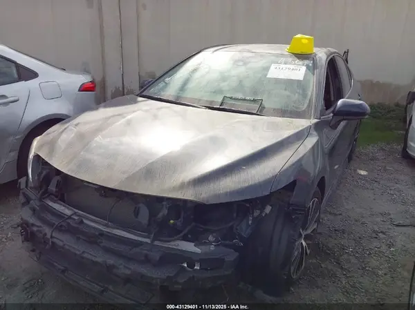 4T1B11HK1KU290645 2019 TOYOTA CAMRY - Image 2