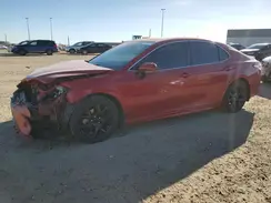 4T1B11HK1KU291066 2019 TOYOTA CAMRY
