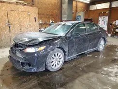 4T1B11HK1KU713398 2019 TOYOTA CAMRY
