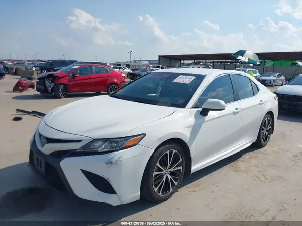4T1B11HK1KU747079 2019 TOYOTA CAMRY - Image 2