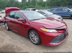 4T1B11HK1KU768224 2019 TOYOTA CAMRY