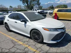 4T1B11HK1KU792135 2019 TOYOTA CAMRY