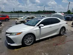 4T1B11HK1KU798503 2019 TOYOTA CAMRY