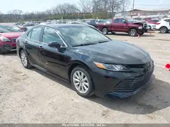 4T1B11HK1KU813436 2019 TOYOTA CAMRY