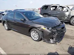 4T1B11HK1KU819186 2019 TOYOTA CAMRY