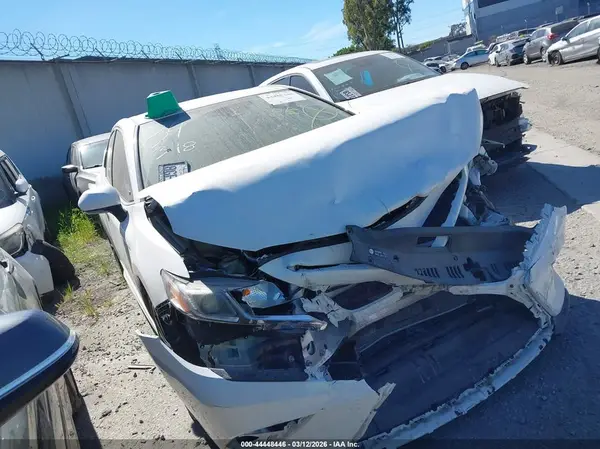 4T1B11HK2KU159756 2019 TOYOTA CAMRY - Image 1