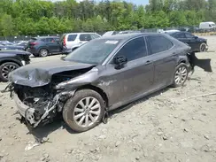 4T1B11HK2KU159868 2019 TOYOTA CAMRY