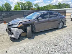 4T1B11HK2KU159949 2019 TOYOTA CAMRY