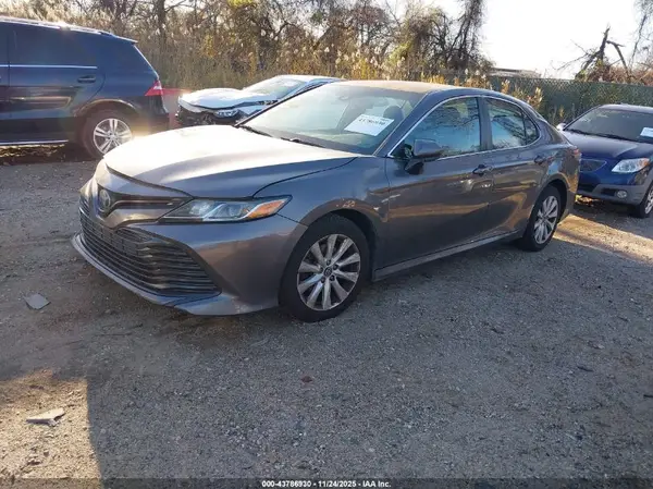 4T1B11HK2KU169896 2019 TOYOTA CAMRY - Image 2