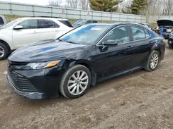 4T1B11HK2KU171616 2019 TOYOTA CAMRY