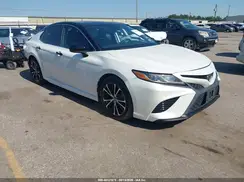 4T1B11HK2KU172359 2019 TOYOTA CAMRY