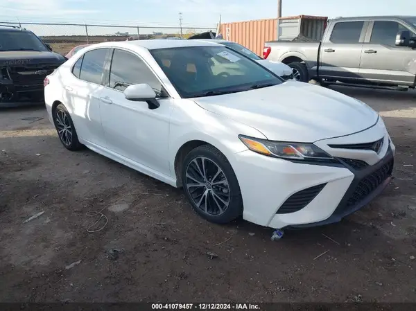 4T1B11HK2KU195575 2019 TOYOTA CAMRY - Image 1