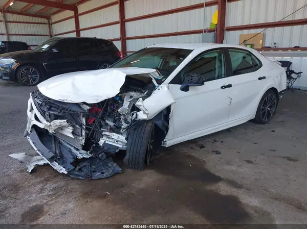 4T1B11HK2KU204372 2019 TOYOTA CAMRY - Image 2