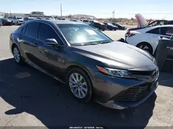 4T1B11HK2KU210172 2019 TOYOTA CAMRY