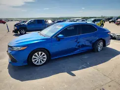 4T1B11HK2KU237825 2019 TOYOTA CAMRY