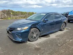 4T1B11HK2KU239283 2019 TOYOTA CAMRY