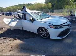 4T1B11HK2KU241549 2019 TOYOTA CAMRY