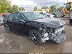 4T1B11HK2KU243494 2019 TOYOTA CAMRY