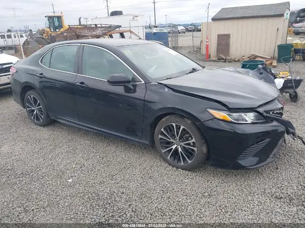 4T1B11HK2KU244516 2019 TOYOTA CAMRY - Image 1