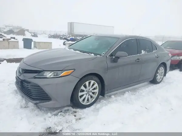 4T1B11HK2KU245049 2019 TOYOTA CAMRY - Image 2