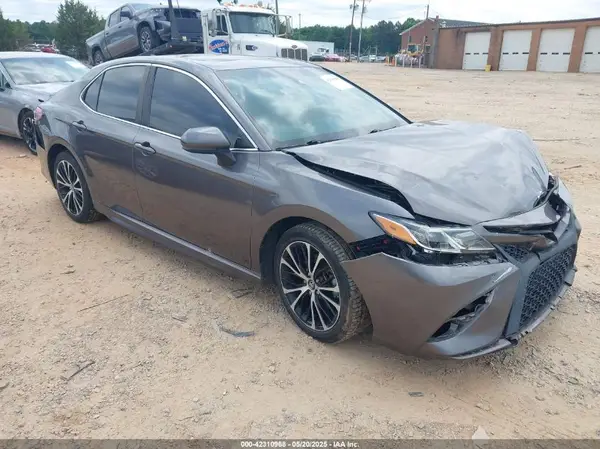 4T1B11HK2KU250977 2019 TOYOTA CAMRY - Image 1