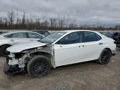 4T1B11HK2KU278648 2019 TOYOTA CAMRY