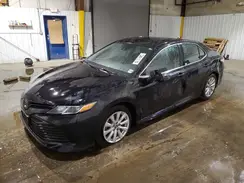 4T1B11HK2KU290900 2019 TOYOTA CAMRY