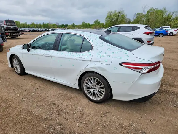4T1B11HK2KU682078 2019 TOYOTA CAMRY - Image 2