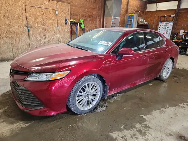 4T1B11HK2KU696076 2019 TOYOTA CAMRY - Image 1