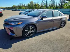 4T1B11HK2KU698295 2019 TOYOTA CAMRY