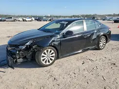 4T1B11HK2KU720490 2019 TOYOTA CAMRY
