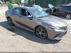 4T1B11HK2KU721123 2019 TOYOTA CAMRY