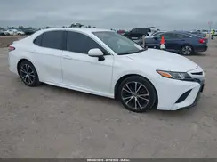 4T1B11HK2KU724202 2019 TOYOTA CAMRY