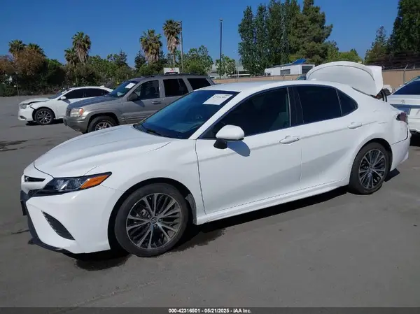 4T1B11HK2KU732428 2019 TOYOTA CAMRY - Image 2