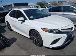 4T1B11HK2KU733224 2019 TOYOTA CAMRY