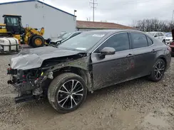4T1B11HK2KU766482 2019 TOYOTA CAMRY