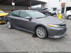 4T1B11HK2KU797781 2019 TOYOTA CAMRY