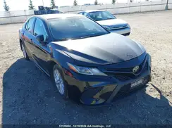 4T1B11HK2KU800775 2019 TOYOTA CAMRY