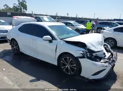 4T1B11HK2KU804101 2019 TOYOTA CAMRY