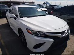 4T1B11HK2KU810237 2019 TOYOTA CAMRY