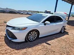 4T1B11HK2KU825160 2019 TOYOTA CAMRY