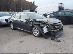 4T1B11HK2KU832545 2019 TOYOTA CAMRY