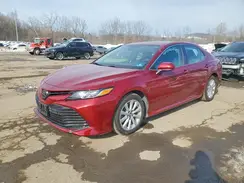 4T1B11HK2KU837230 2019 TOYOTA CAMRY