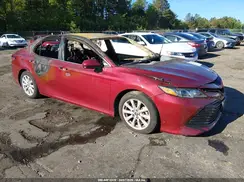 4T1B11HK2KU852195 2019 TOYOTA CAMRY