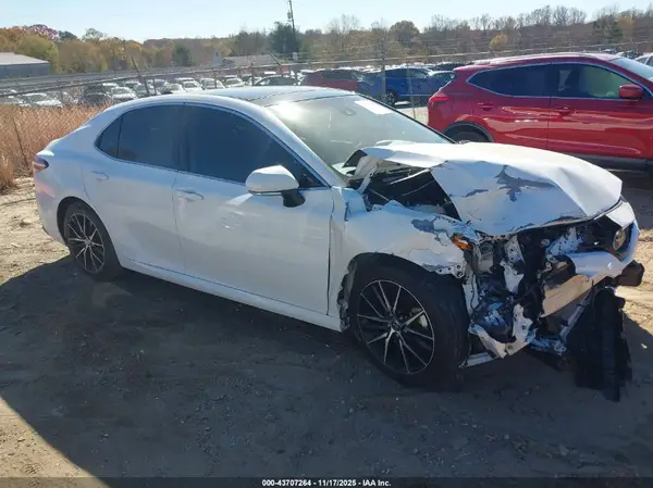 4T1B11HK2KU856666 2019 TOYOTA CAMRY - Image 1